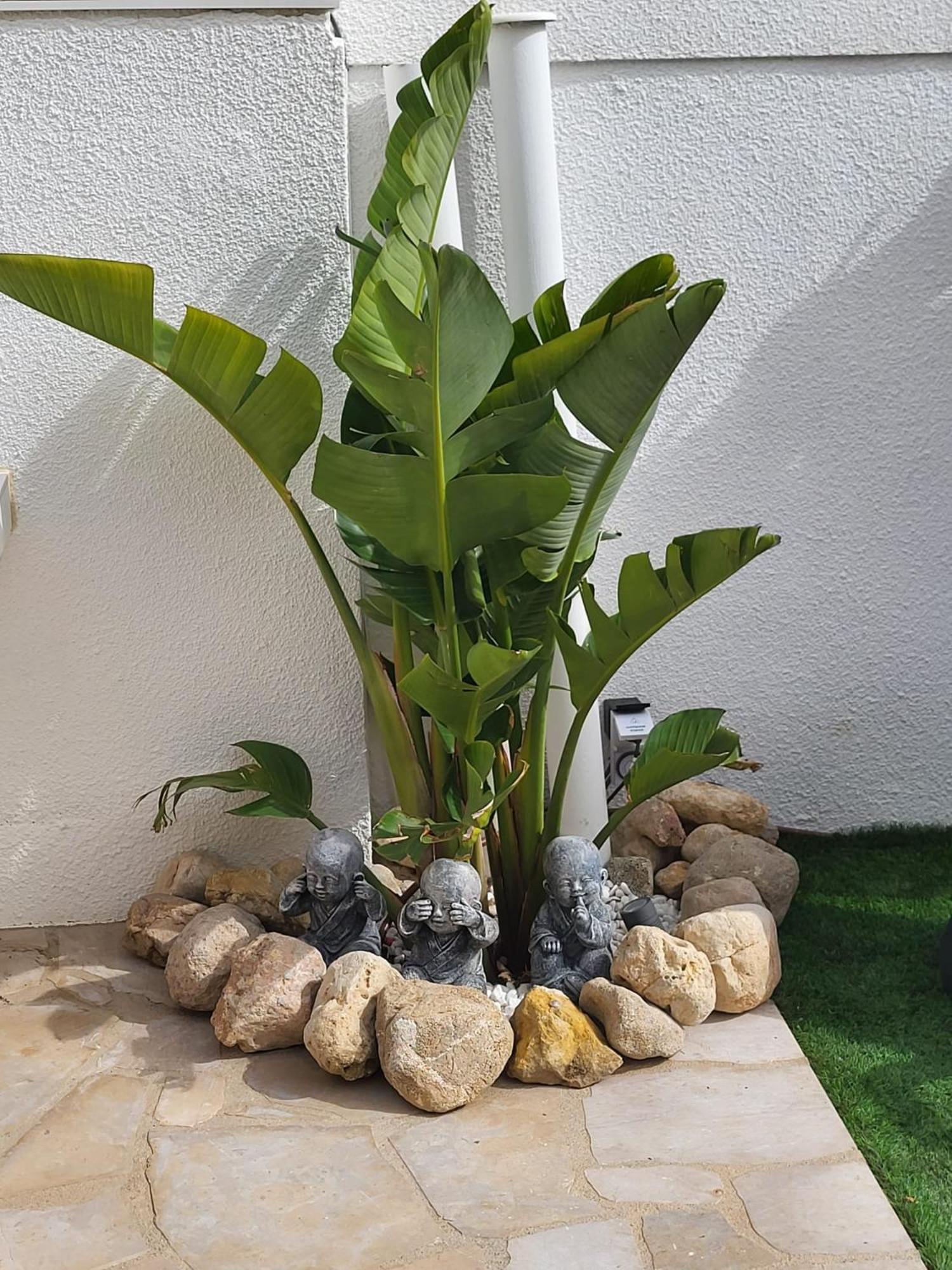 فيلا Casa Alegria كالافات المظهر الخارجي الصورة